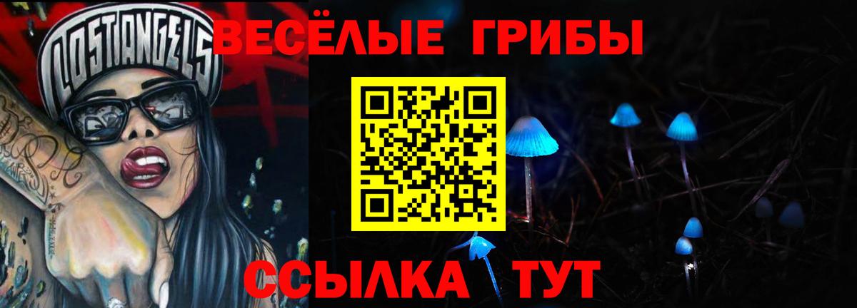 Галлюциногенные грибы прущие грибы  Вход с VPN  Россия  Галлюциногенные грибы мицелий 